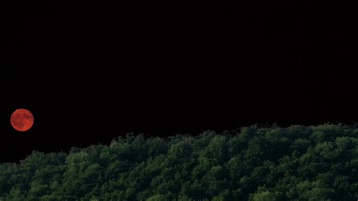 Exploring Pashto Poetry: A Cultural Journey