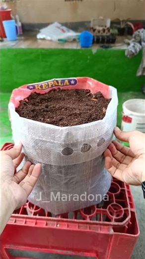 “DIY Rice Sack Grow Bags: Easy Hack for Home Gardening” #gardenhacks #gardening