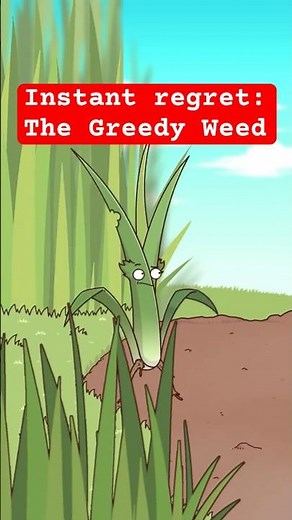 Instant Regret: The Greedy Weed