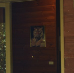 tin can telephone Concert & Tour History  | Concert Archives