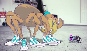 621 reactions · 275 shares | A group of spiders from all over the world brought under one roof facing unexpected challenges… Welcome to The Spider Files | Episode 1: "Zed's Dead" | The Spider Files | Facebook