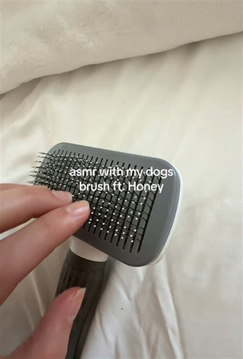 Brushing ASMR Sounds with My Dog Honey