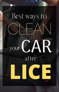 Lice and Car Seats: 5 Proven Ways to Get Lice out of Your Car