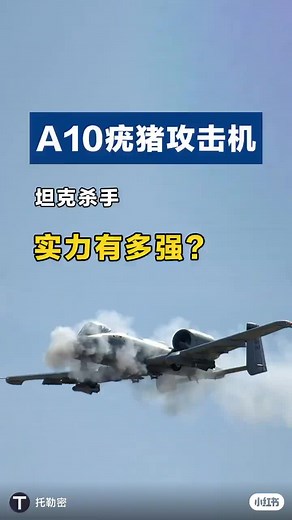 A-10攻击机：不死的空中猛兽