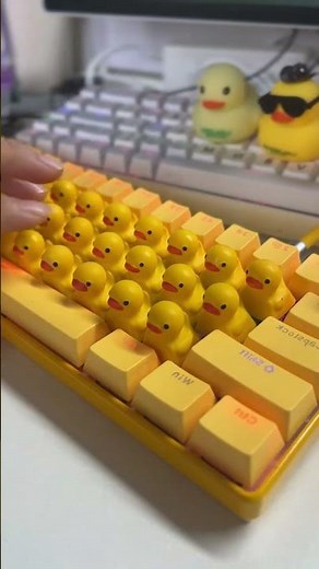 ASMR duck keyboard quacking #QUACKboard #Duck Keyboard