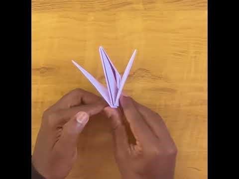 Origami || Turtle || ஆமை