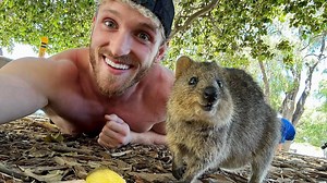 Logan Paul has been spotted on Rottest Island with StreetX owner Daniel Bradshaw