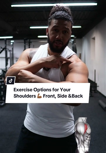 Shoulder Workout Guide: Front, Side & Rear Exercises