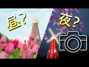 撮影するなら昼と夜どっち？それぞれの特徴を紹介！桜とチューリップの変化を見逃すな！