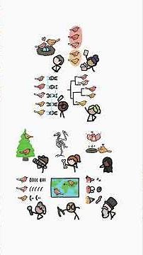 What is a species?