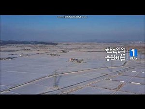 KBS1 ID 정성을 다하는 국민의 방송 - 김제평야