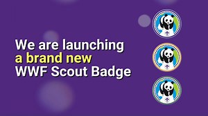 11K views · 315 reactions | Introducing our brand **NEW PANDA...