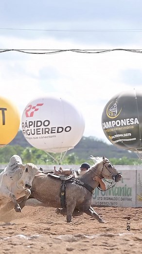 Allan Damasceno | Fotógrafo Equestre 🇧🇷🐴 on Instagram: "BS Bruno Silva x TWISTER ROJO & @alemaopereira12 -Rep. @grupopimentel ,Bonito-PE no parque Genésio Araújo @harascartaxo ,Sousa-PB"