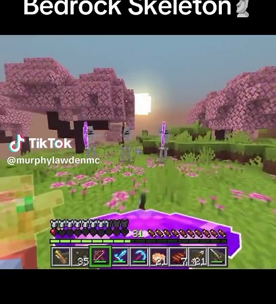 Perbedaan Skeleton Bedrock dan Java di Minecraft