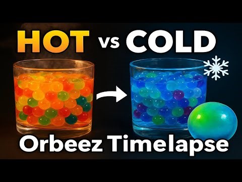 Hot Water vs Cold Water | Orbeez Growth Timelapse | Satisfying Experiment