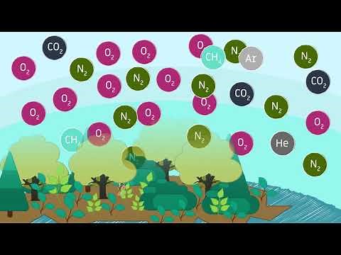 Properties of air, composition of the Earth's atmosphere