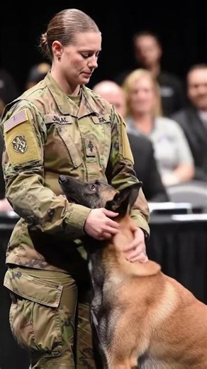 A close up of a soldier gently patting the Malinois’s head during a heartfelt award ceremony