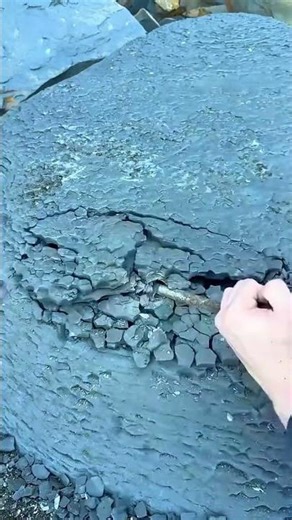 picking up a metal rod and prying off several large layers of flat gray rocks