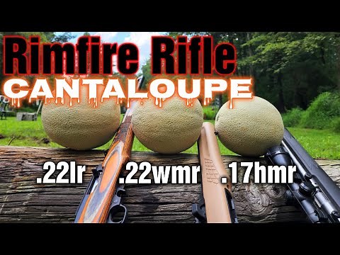 CANTALOUPES vs .22LR .22WMR .17HMR RIFLES