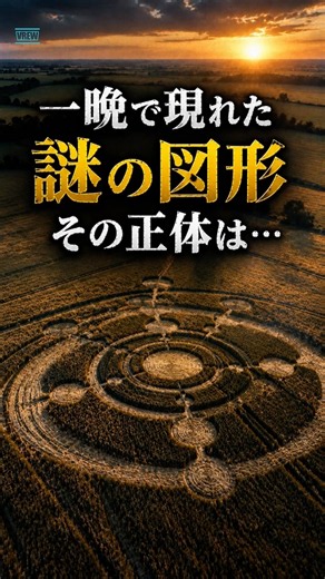 ミステリーサークル #知らないと損 #雑学 #プチ知識