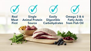 Blue Buffalo Basics Skin & Stomach Care, Grain Free Natural Adult Dry Dog Food, Duck & Potato 4-lb