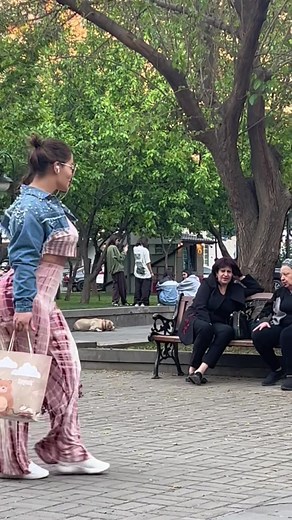 #hayastan#armeniantiktok