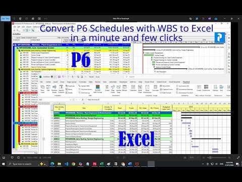 Chapter 5 - Live Session P6 Schedule To Excel with WBS and Gantt Chart