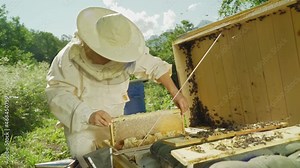 Happy Professional beekeeper in protective hat is busy on apiary. Woman Bee master works near bee hives in summer. Apiary and honey making, small agricultural business and hobby