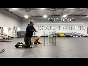 Doug: Crate Training