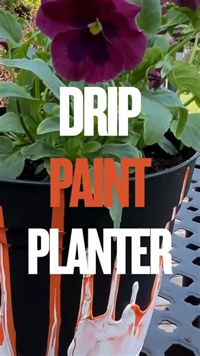 Super simple DIY Halloween planter idea #3: Drip Paint Planter. 🎨 Looks crazy and sloppy at first, but stick with it — it’ll be cool and unique to you in the end! Pictured: Top Wave Rose Blotch Pansy #wavepansies #pansies #pansy #topwavepansies #flowergardening #flowergarden #ilovegardening #gardeners #gardeningtime #gardeningmakesmehappy #gardener #garden #gardengram #gardeninglife #gardeningideas #gardeningislife #gardeningforbeginners #gardeninginspiration #fallflowers #fallgarden #fallgarde