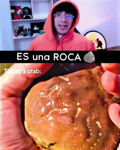 Es un ROCA... 🪨#mrrelevante #culturapop