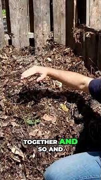 Mastering Composting: The Simple Way to Enrich Your Soil