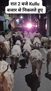 8.2K views · 185 reactions | Nomadic Shepherd's life | Himachali Life | Facebook