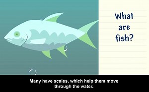 [完结]BRAINPOP JR-1—6音频 视频 文本 单词