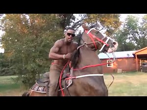 2023 Queen City Gaited Horse Trail Ride for Bread Winners Trail Riders