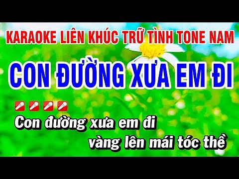 Karaoke Liên Khúc Trữ Tình Nhạc Sống Tone Nam Dễ Hát - Con Đường Xưa Em Đi | Hoài Phong Organ