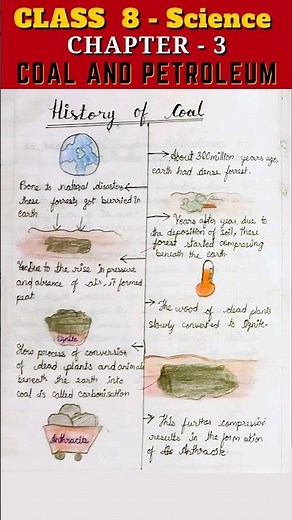 History of Coal - Class 8 Science | Chapter 3: Coal and Petroleum