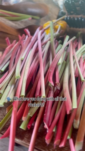 What to do with all that rhubarb??? #farmlife #lemonade