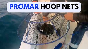 Watch Hooping for Lobster&colon; A Beginner's Guide to Promar Hoop Nets on Amazon Live