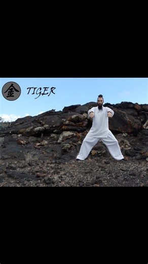 Tiger movement from Wudang Wuxing Qigong (Five Animals Qigong) is an exercise to regulate Metal element in our bodies. Metal is one of the Five Elements that form the basis of understanding health, disease, and the human body's relationship with nature. Among other functions, Metal element regulates in the body: The Lungs (Fei , 肺): · Receiving Air: The Lung's most obvious function is inhaling air from the environment. This is the body's most direct and constant interaction with the external wor