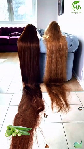 Secrets Japonais pour Faire Pousser les Cheveux et Traiter la Calvitie