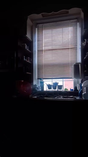 TRICK OR TREAT | Linda Mayhue Norton