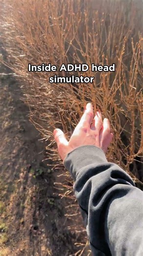 Inside ADHD head simulator