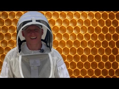 Fall Hive Inspection: Are Your Bees Ready for Winter?