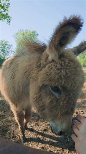 114K views · 8.3K reactions | Just part of the routine around here! | Nathan Perry | Facebook