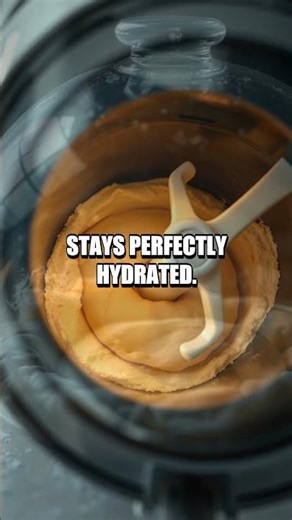 Break It Down: How Bread Machines Turn Ingredients into a Fresh Loaf