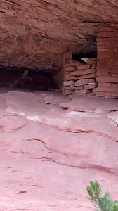 Jenna Strom on Reels