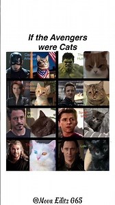 If the Avengers Were Cats 🐱 | Marvel Characters Reimagined