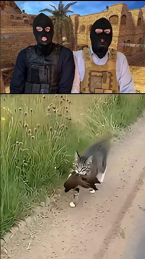 Can you believe this is real?😆🤔try not to laugh match 256🔫 #memes