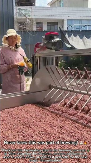 Cool Down Sorghum for Fermentation Process 🌾❄️